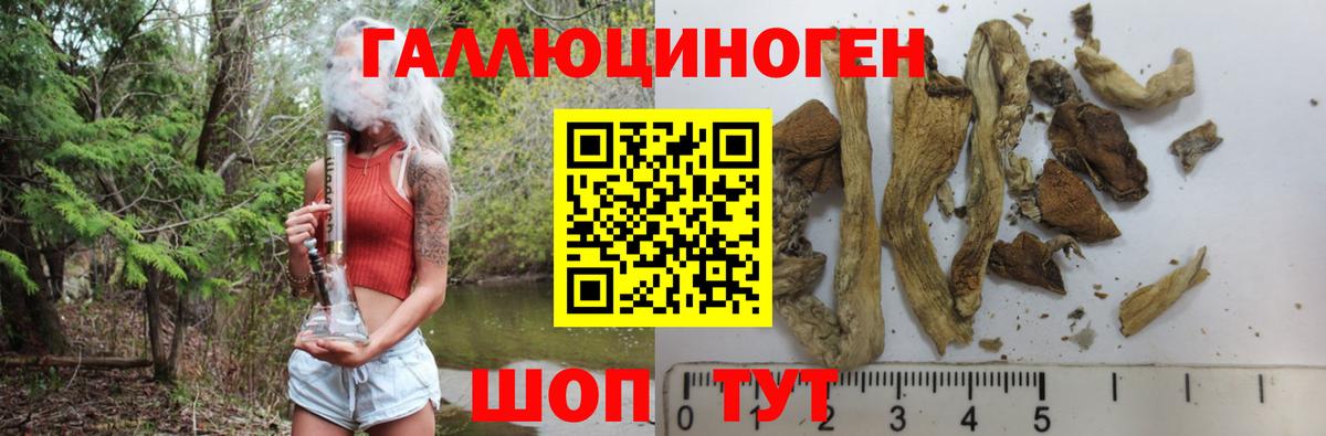 Псилоцибиновые грибы Psilocybine cubensis  Вход с VPN  Лосино-Петровский  как найти закладки  Галлюциногенные грибы Cubensis 